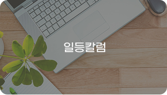 일등칼럼